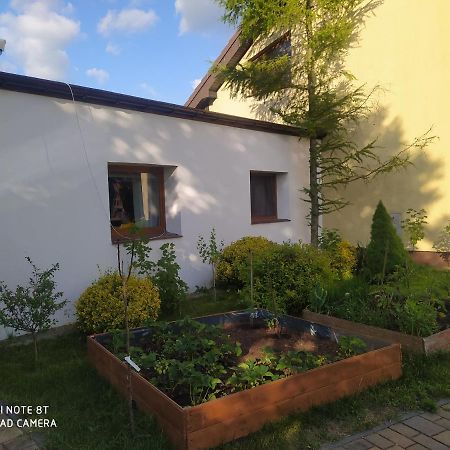 Apartament Gniezno - Mnichowo Exteriör bild